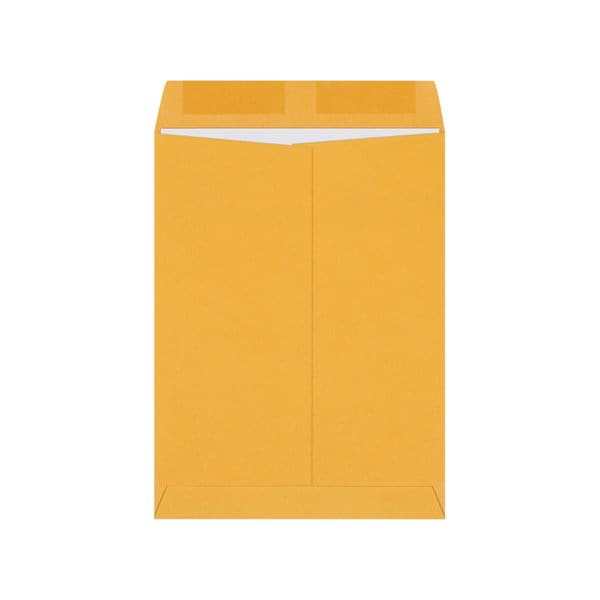 Bsc Preferred 9 x 12'' Kraft Gummed Envelopes, 1000PK BUY00029071 - main